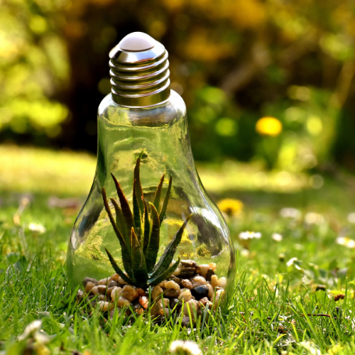 How to Conserve Energy in Your Home (and Produce Your Own)