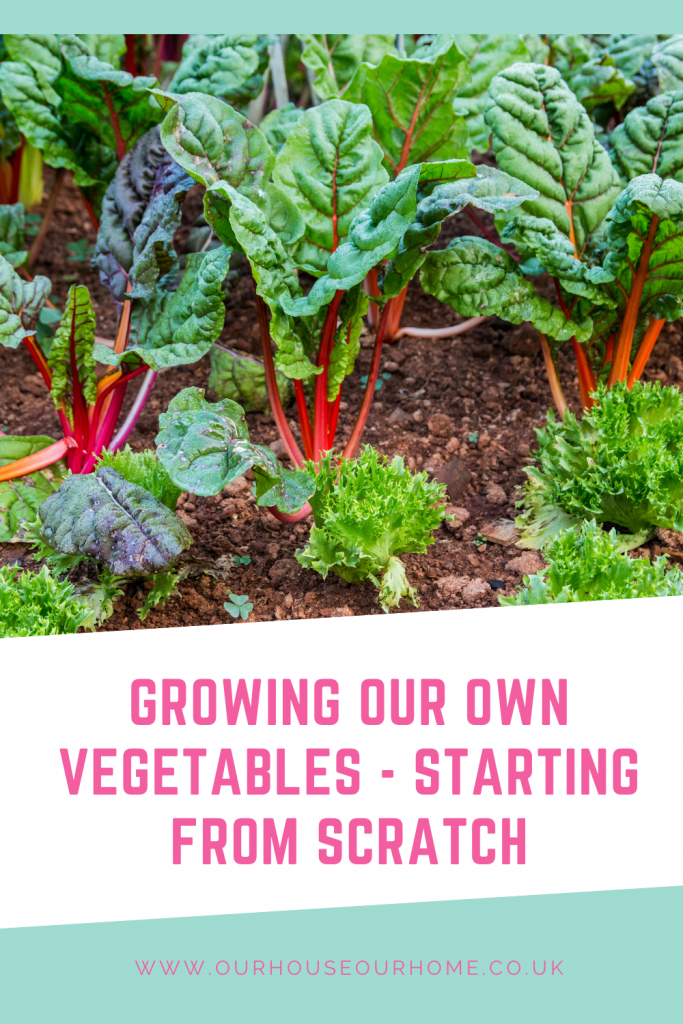 Growing Our Own Vegetables - Starting From Scratch
