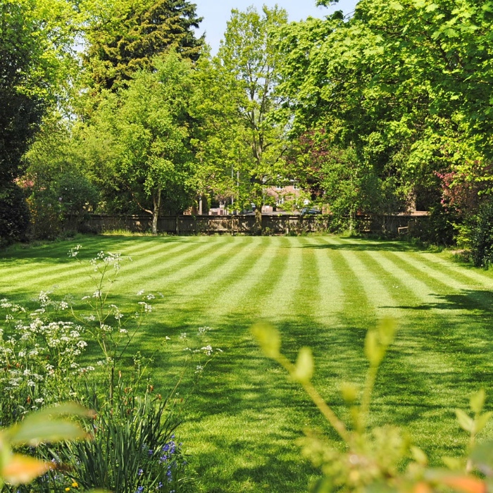 How to Protect Your Lawn During Summer Heatwaves